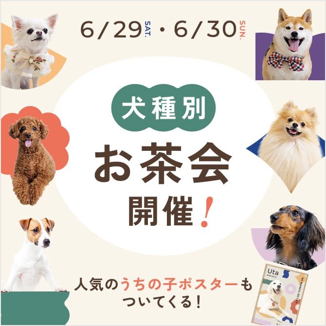 【犬種別お茶会】6月29日/30日の2日間で犬種限定のお茶会を開催。大人気、うちの子ポスターも作れちゃう！