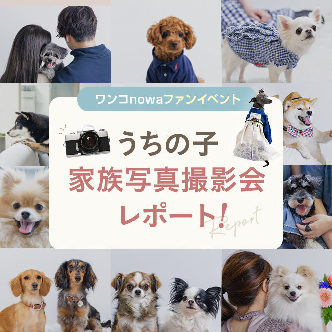 【5月ファンイベントレポート】愛犬家族写真撮影会を開催。ご家族と愛犬の絆が、素敵なお写真になりました！