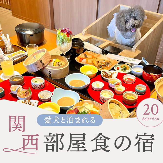 【部屋食ができる犬と泊まれる宿 関西20選】関西で部屋食OKのペットと泊まれる宿｜2024年最新版