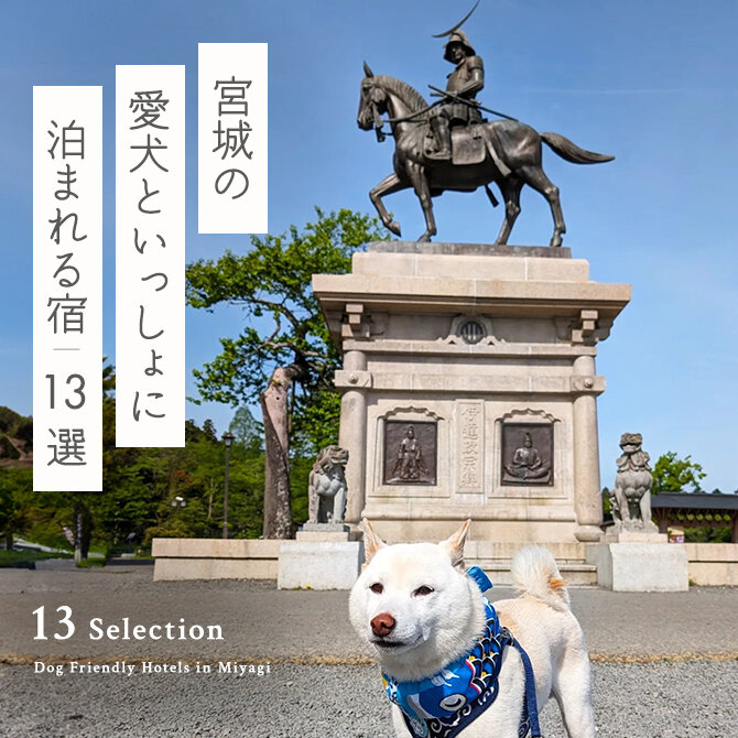 【宮城・仙台のペットと泊まれる宿13選】宮城・仙台の犬と泊まれる宿｜2024年最新版