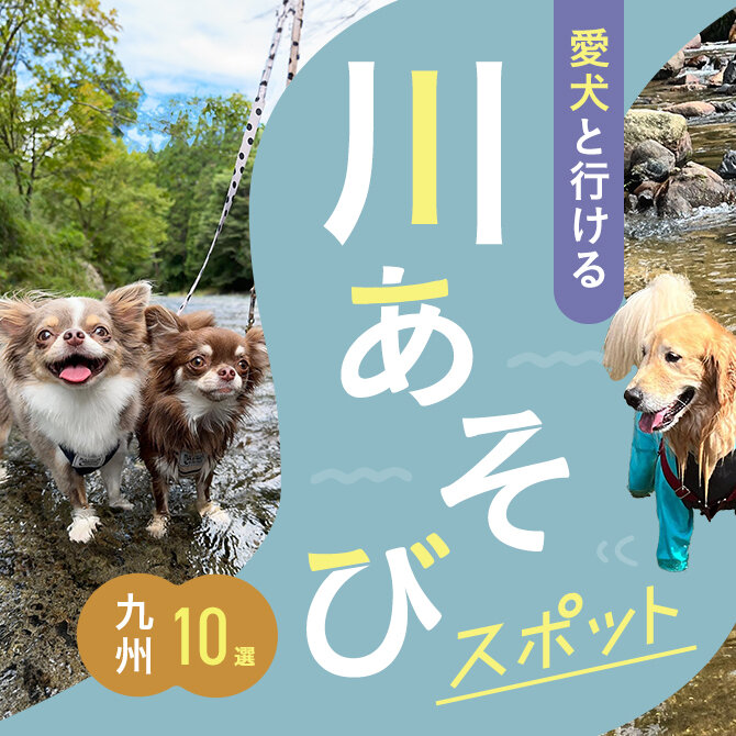 【川遊び九州10選】愛犬と行けるおすすめの川遊びスポット