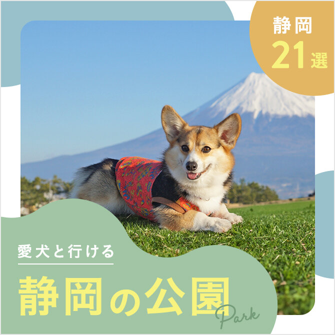 【静岡の犬と行ける公園21選】ドッグランのある公園やおでかけにおすすめな公園