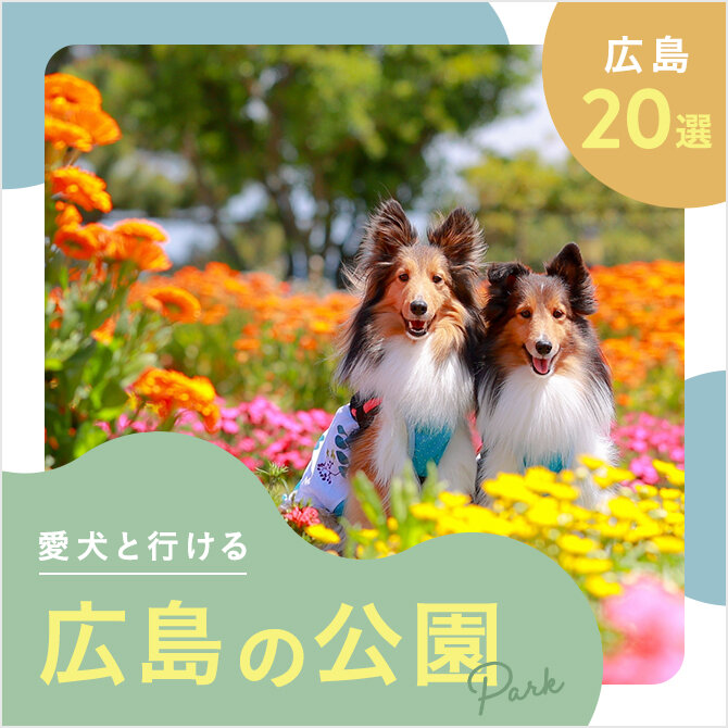 【広島の犬と行ける公園20選】ドッグランのある公園やおでかけにおすすめな公園