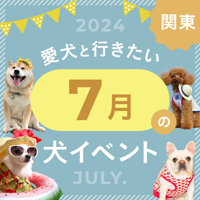 【2024年7月】関東で愛犬と行きたいドッグイベント10選