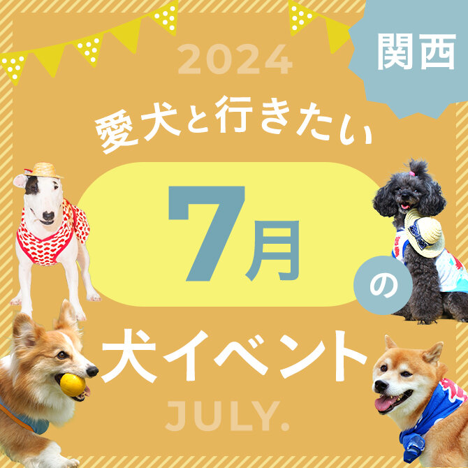 【2024年7月】関西で愛犬と行きたいドッグイベント9選