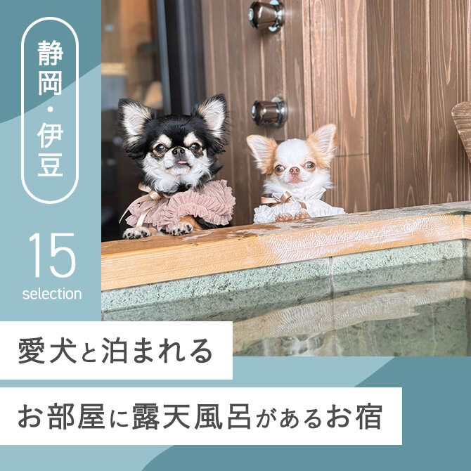 【静岡・伊豆】犬と泊まれる露天風呂付き客室があるお宿15選