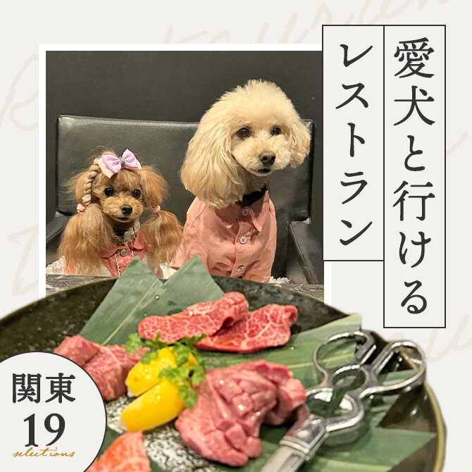 【関東で愛犬と行けるレストラン19選】店内OK！ワンコメニューのあるレストランも！