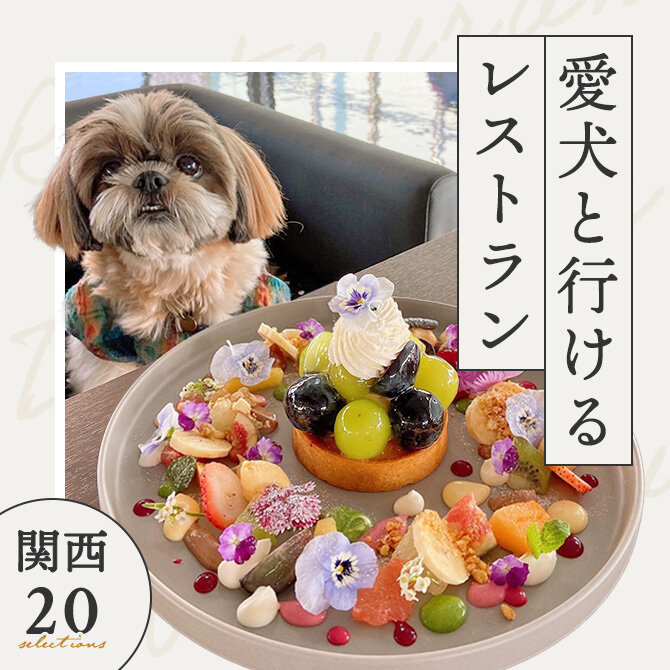 【関西で愛犬と行けるレストラン20選】店内OK！ワンコメニューのあるレストランも！