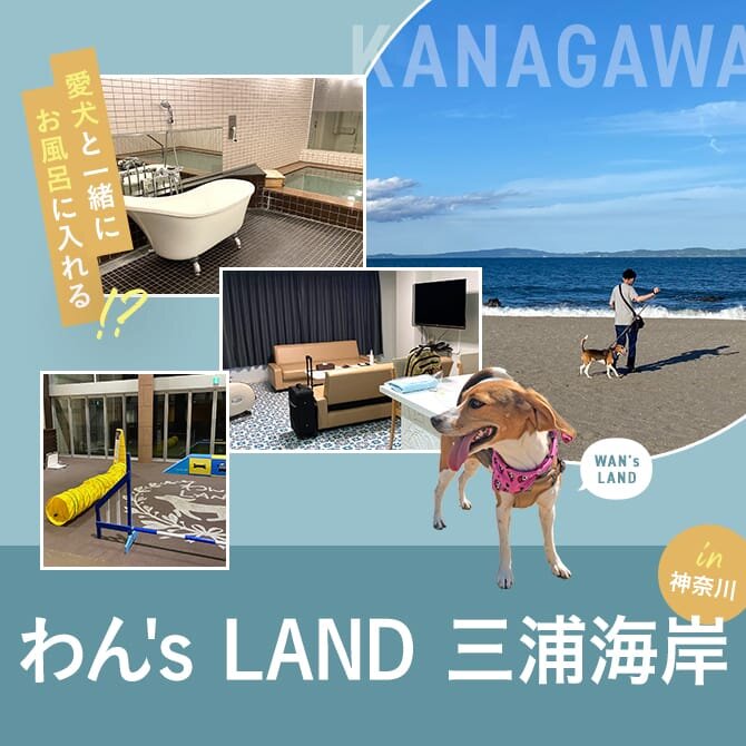 【わん's LAND 三浦海岸】愛犬とお風呂に入れる！神奈川の犬と泊まれる宿