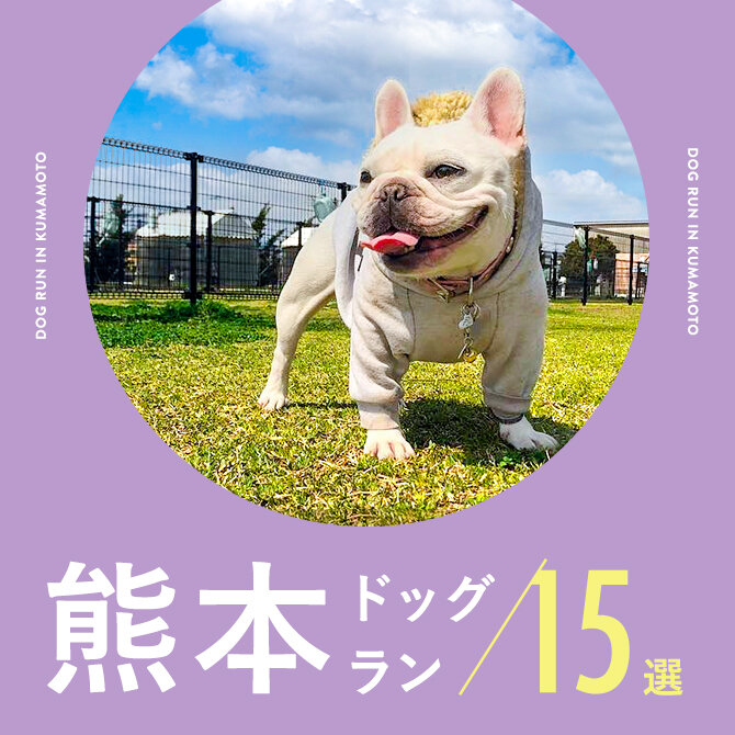 【ドッグラン熊本】熊本で人気ドッグラン15選。ドッグカフェ併設や無料も