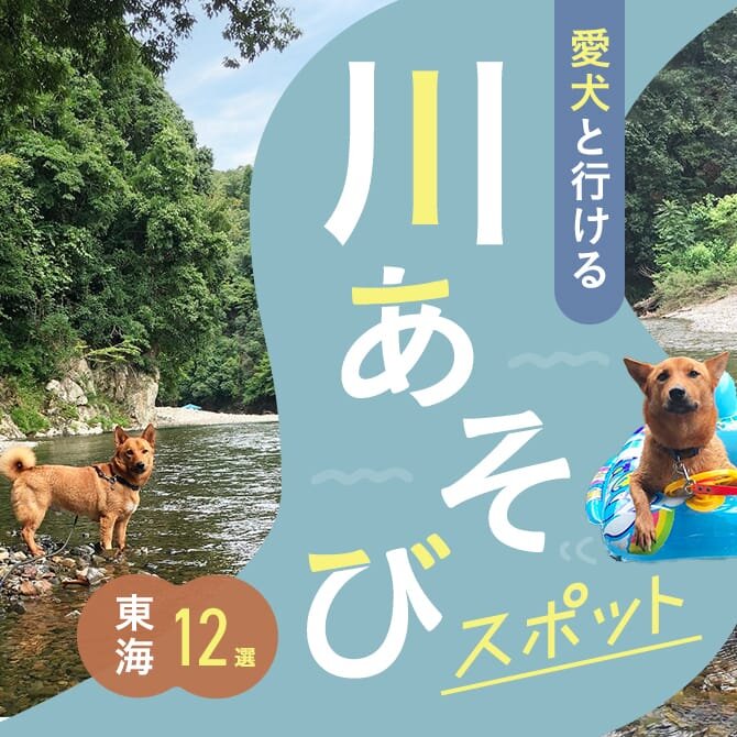 【川遊び東海12選】愛犬と行けるおすすめの川遊びスポット｜2024年版