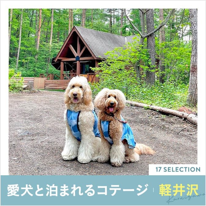 【軽井沢のペットと泊まれるコテージ17選】軽井沢の犬と泊まれるコテージ・ドッグラン付きコテージ
