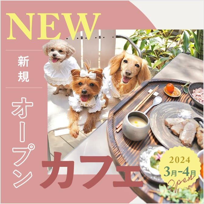 【2024年3月・4月新規オープンカフェ】愛犬と行ける話題の最新カフェ