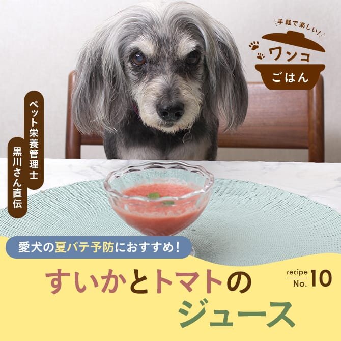 【夏バテ予防の薬膳おやつ】暑い夏に愛犬に作りたい「すいかとトマトのジュース」