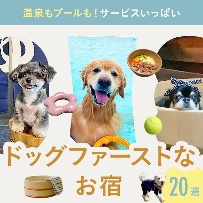 【ドッグリゾート】犬と泊まれる人気のドッグリゾート特集！