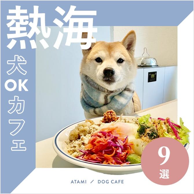 【熱海ドッグカフェ・犬と行けるカフェ9選】ワンコメニューのあるカフェや大型犬同伴OKなカフェも！