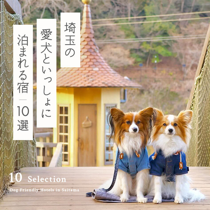 【埼玉のペットと泊まれる10選】 埼玉の犬と泊まれる宿。秩父の宿も｜2024年版