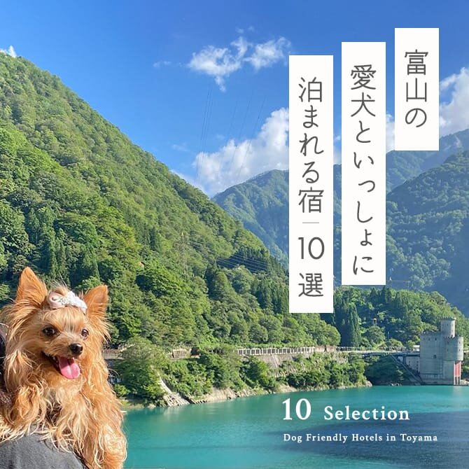 【富山の犬と泊まれる宿10選】徳島で人気のペットと泊まれる宿｜2024年最新