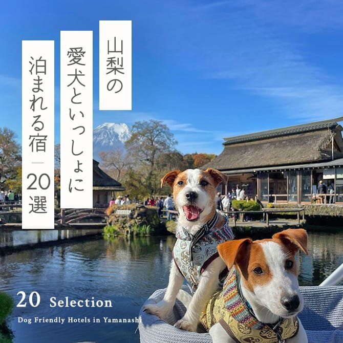 【山梨のペットと泊まれる宿】山梨の犬と泊まれる人気宿TOP20。部屋食・客室露天風呂付きも！｜2024年最新