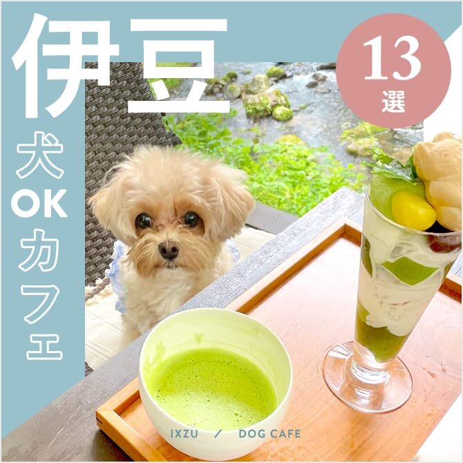 【伊豆ドッグカフェ・犬と行けるカフェ13選】犬連れ・ペット同伴可！ランチが人気・大型犬同伴OKのカフェも！