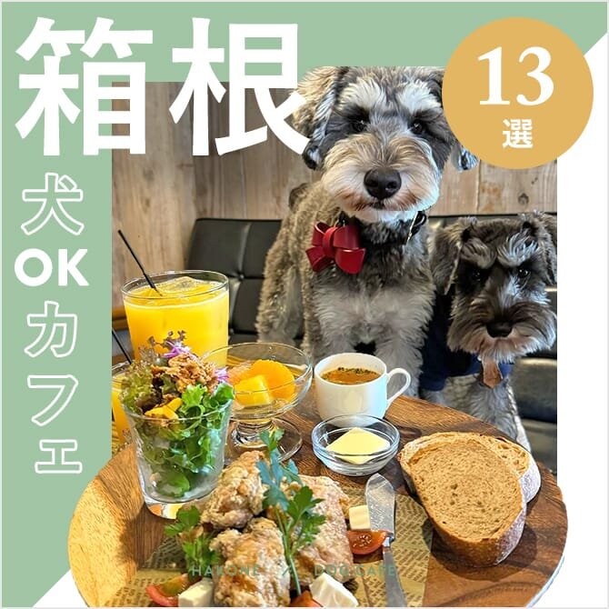 【箱根ドッグカフェ・犬と行けるカフェ13選】犬連れ・ペット同伴可！ランチが人気・大型犬同伴OKのカフェも！