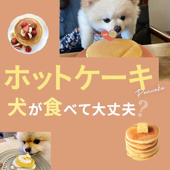 犬はホットケーキを食べても大丈夫？｜犬にホットケーキは与えていい？食べてはいけない？