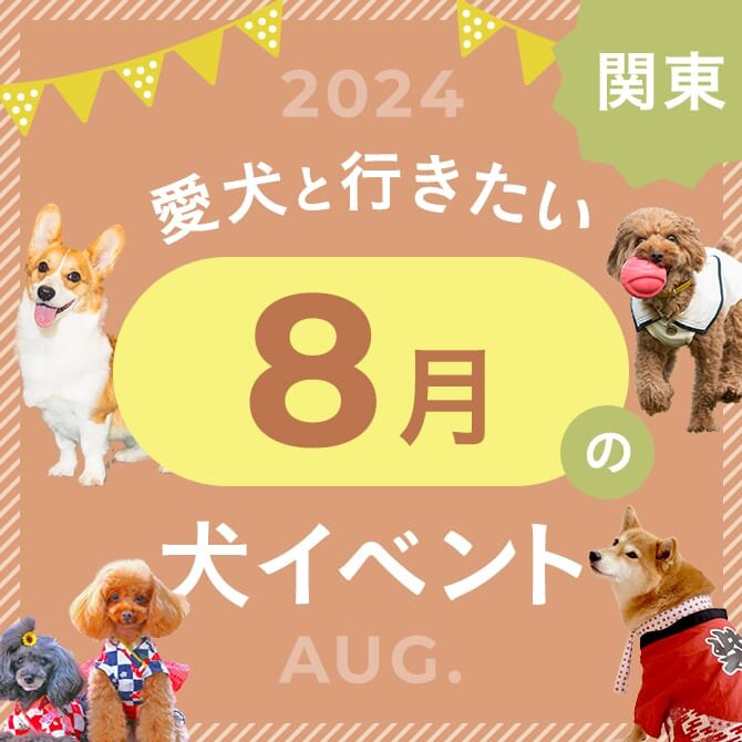 【2024年版】関東で愛犬と行きたいドッグイベント情報