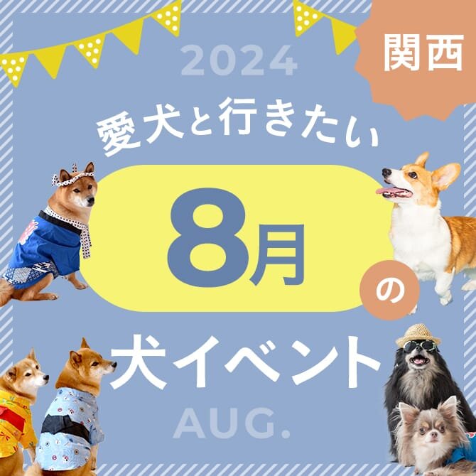 【2024年版】関西で愛犬と行きたいドッグイベント情報