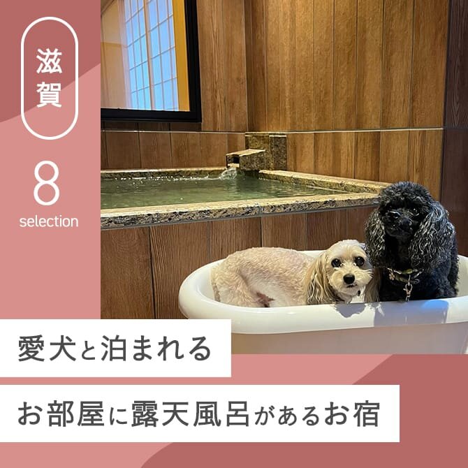 【滋賀】露天風呂付き客室があるペットと泊まれる宿8選！犬と泊まれる滋賀の露天風呂付き客室｜2024年版