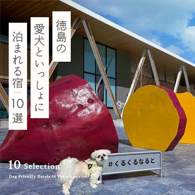 【徳島のペットと泊まれる宿10選】徳島で人気の犬と泊まれる宿｜2024年最新