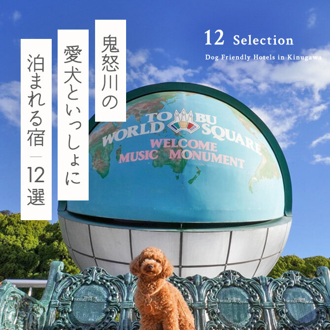 【鬼怒川のペットと泊まれる宿12選】鬼怒川で人気の犬と泊まれる宿｜2024年最新