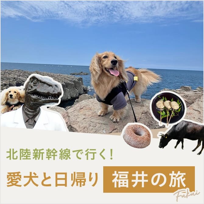 【福井の犬連れ観光スポット】愛犬と行く日帰り福井の旅