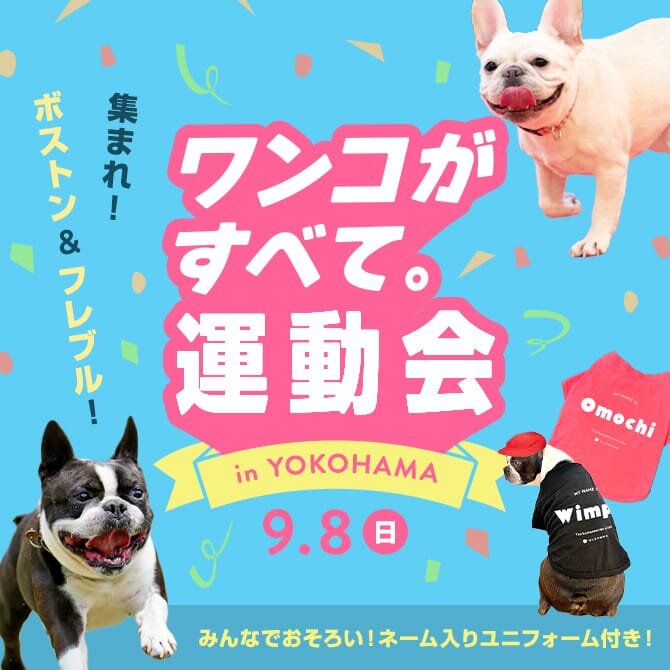 【ワンコがすべて運動会 ボストンテリア会＆フレブル会】9月8日DSシェアドッグラン（横浜市反町）で犬種別運動会開催！