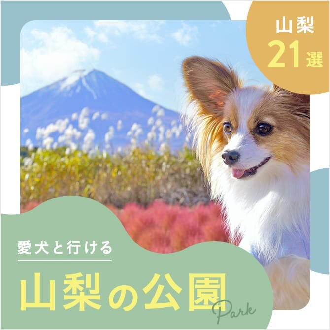 【山梨の犬と行ける公園21選】ドッグランのある公園やおでかけにおすすめな公園