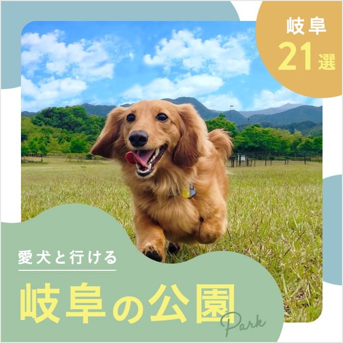 【岐阜の犬と行ける公園21選】ドッグランのある公園やおでかけにおすすめな公園