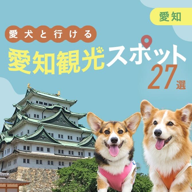 【愛知 犬といけるお出かけスポット27選】ペット同伴可・犬連れOKの施設・観光スポット！