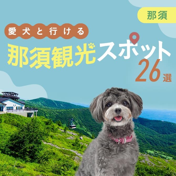 【那須の犬といけるお出かけスポット26選】ペット同伴可・犬連れOKの観光スポット・ランチ