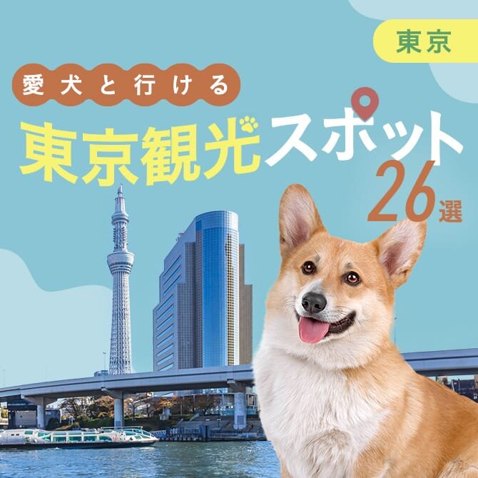 東京 犬といけるお出かけスポット26選】東京都内のペット同伴可・犬連れ