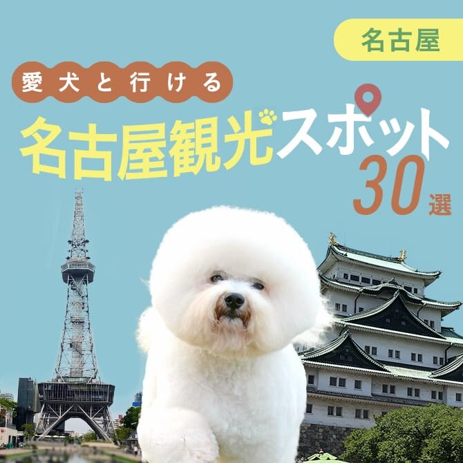 【名古屋の犬といけるお出かけスポット30選】ペット同伴可・犬連れOKの観光スポット・ランチ