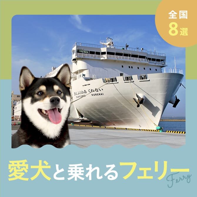 【愛犬と乗れるフェリー8選】客室宿泊OK！専用ドッグラン付きも！