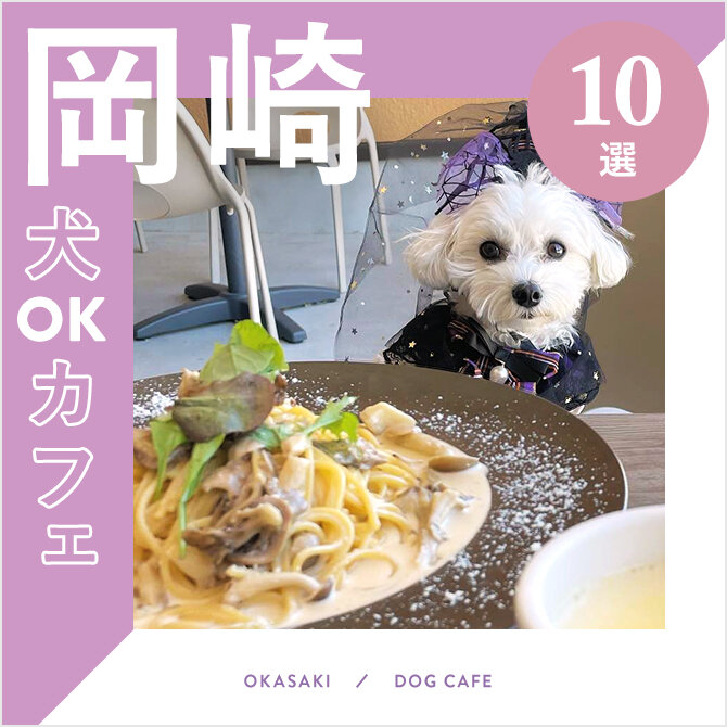 【岡崎ドッグカフェ・犬と行けるカフェ10選】ワンコメニューのあるカフェや大型犬同伴OKなカフェも！