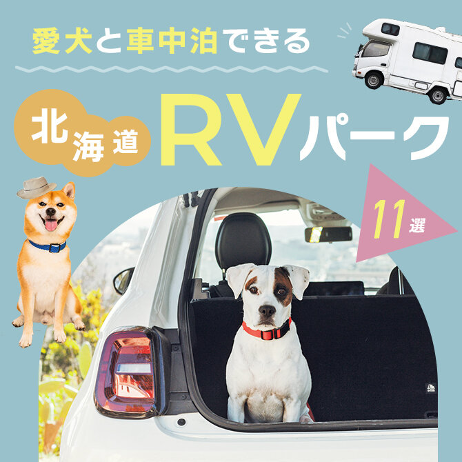 【愛犬と車中泊できるRVパーク】北海道で車中泊できるおすすめRVパーク11選