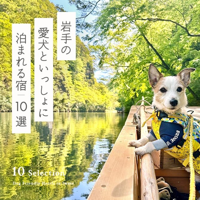 【岩手のペットと泊まれる宿10選】岩手で人気の犬と泊まれる宿｜最新版