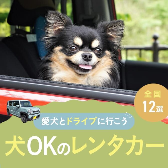 【犬OKなレンタカー12選】ペットも乗車できる全国のレンタカーまとめ