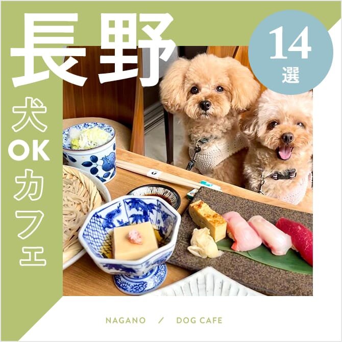 【長野のドッグカフェ・犬と行けるカフェ14選】ドッグラン併設やワンコメニューのある人気ドッグカフェ