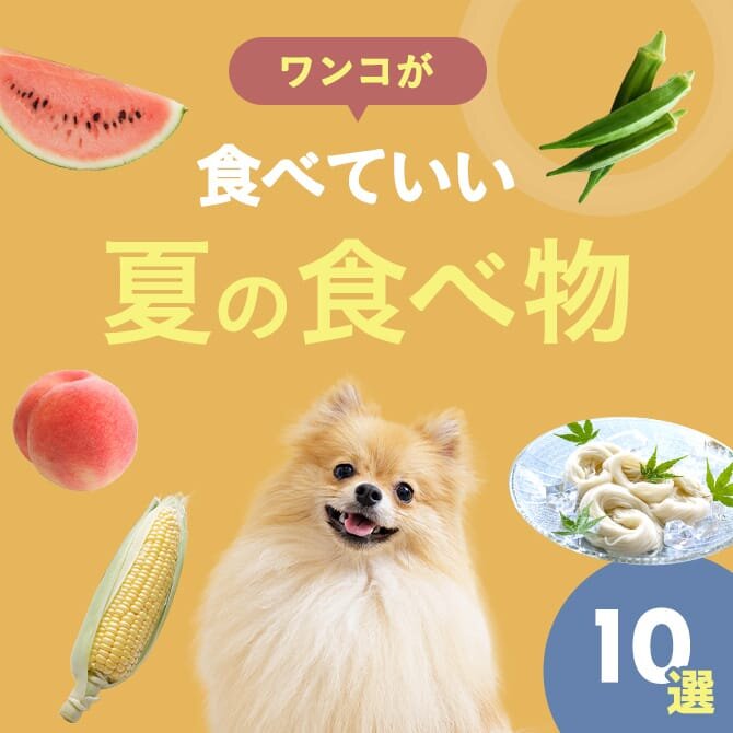 【夏の食べ物10選】愛犬も食べられる夏におすすめの食べ物