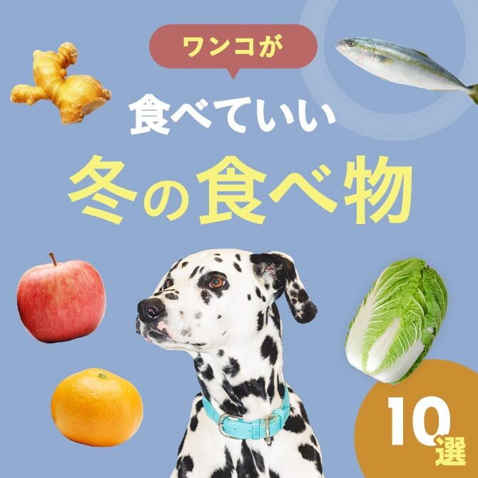 【冬の食べ物10選】愛犬も食べられる冬におすすめの食べ物