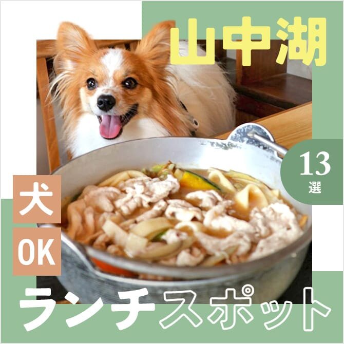 【山中湖の犬連れランチ・カフェ13選】ペット可・犬連れOK！ほうとうや人気ランチが楽しめるカフェ。