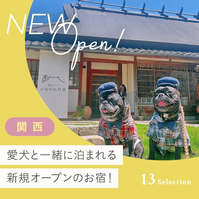 【関西 ペットと泊まれる新規オープンの宿 2023年～2024年版】新規オープンの犬と泊まれる宿13選