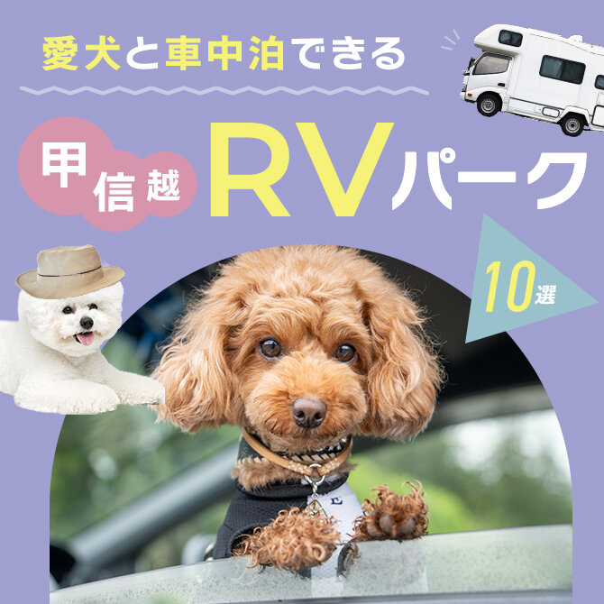 【愛犬と車中泊できるRVパーク】甲信越で車中泊できるおすすめRVパーク10選